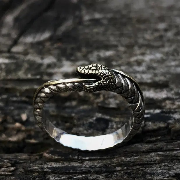 Ouroboros Snake Stainless Steel Ring, Silver