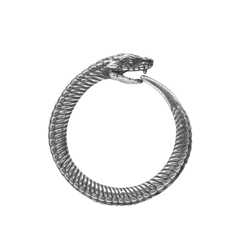 Snake Shape Hoop Earrings