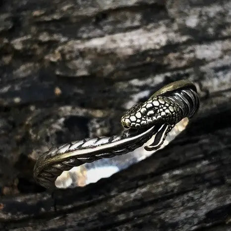 Ouroboros Snake Silver Ring - Vrafi Jewelry