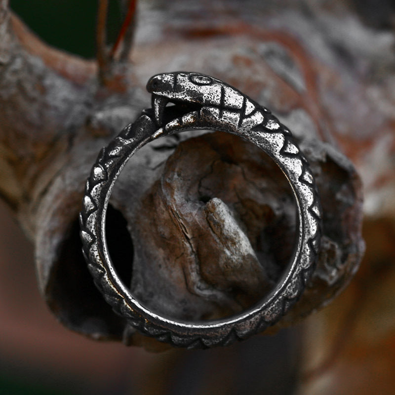 Ouroboros Stainless Steel Ring-Vrafi Jewelry