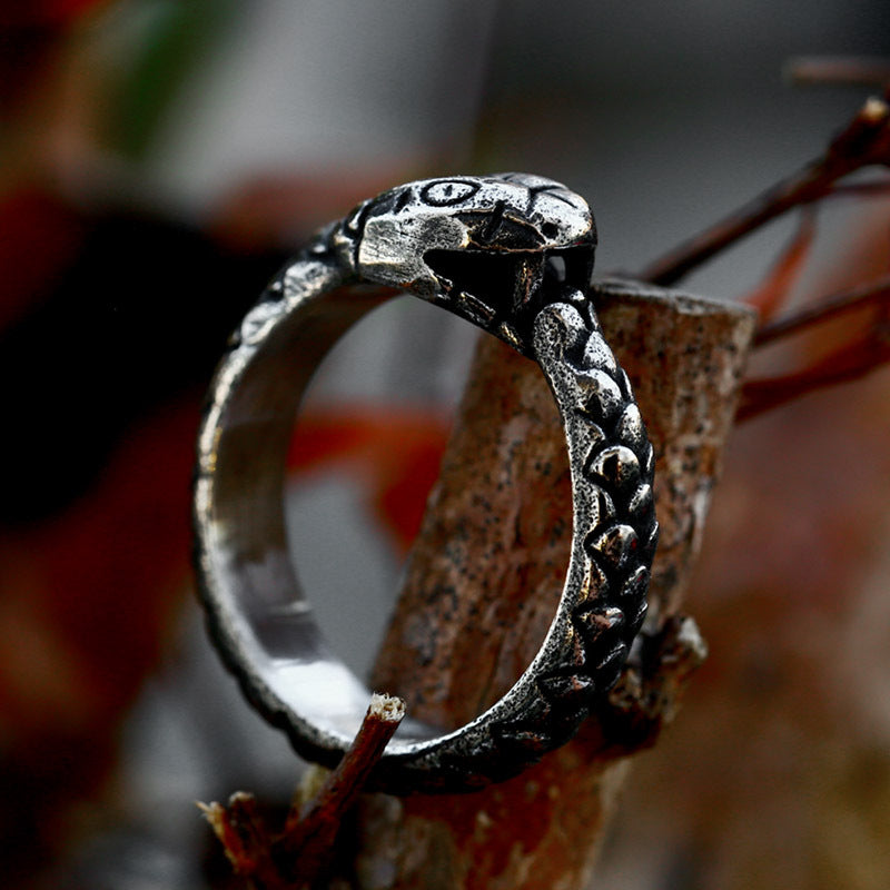 Ouroboros Stainless Steel Ring-Vrafi Jewelry