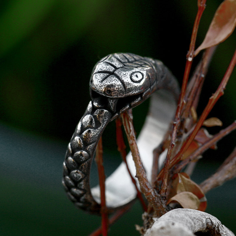 Ouroboros Stainless Steel Ring-Vrafi Jewelry