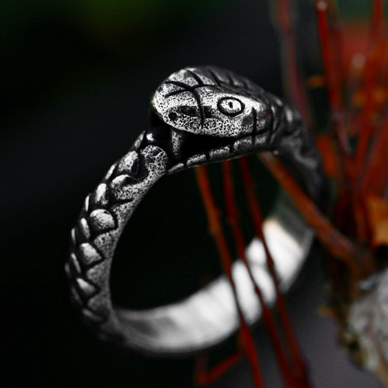Ouroboros Stainless Steel Ring-Vrafi Jewelry