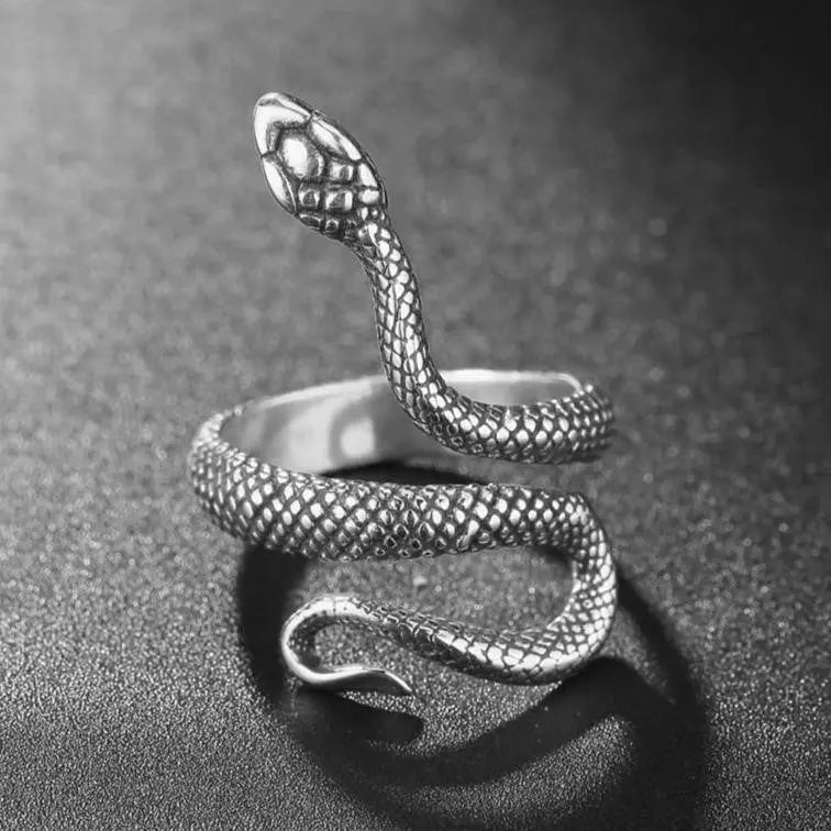 Retro Snake Stainless Steel Ring VRAFI